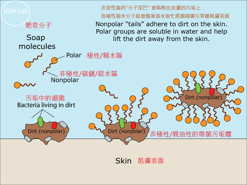 soapmolecules.png